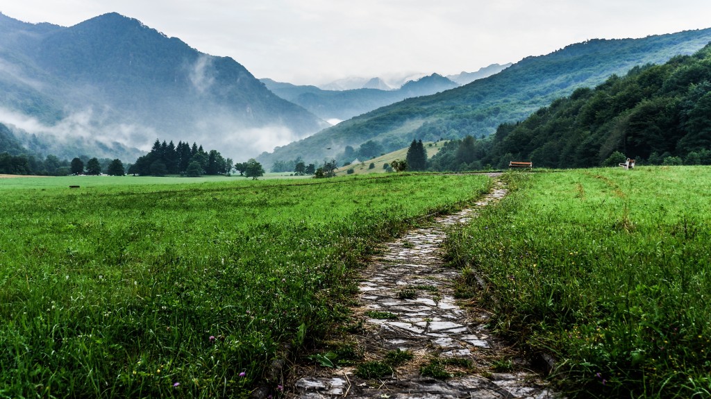 Rocky path through field leading to foggy mountains