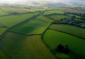 Aerial view of green fields and countryside