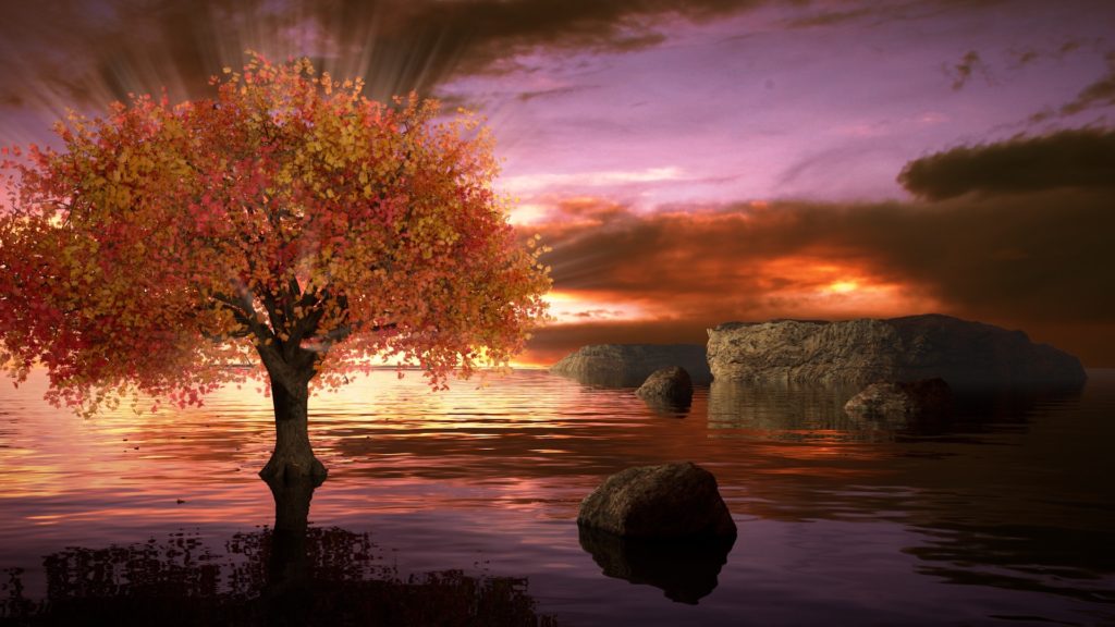 What Hard Thing Do You Need God to Do_sunrise over water, making water look red, tree in left foreground with orange hues