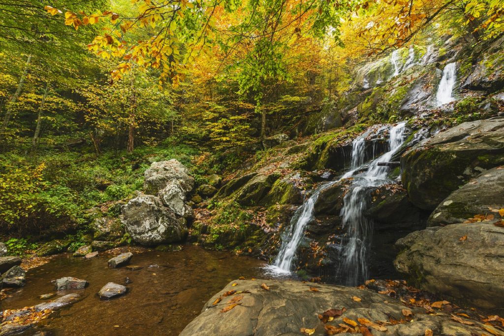 Finding God's Grace in a Tumultuous World_gentle waterfall flowing over rocks into calm stream, fall foliage in background