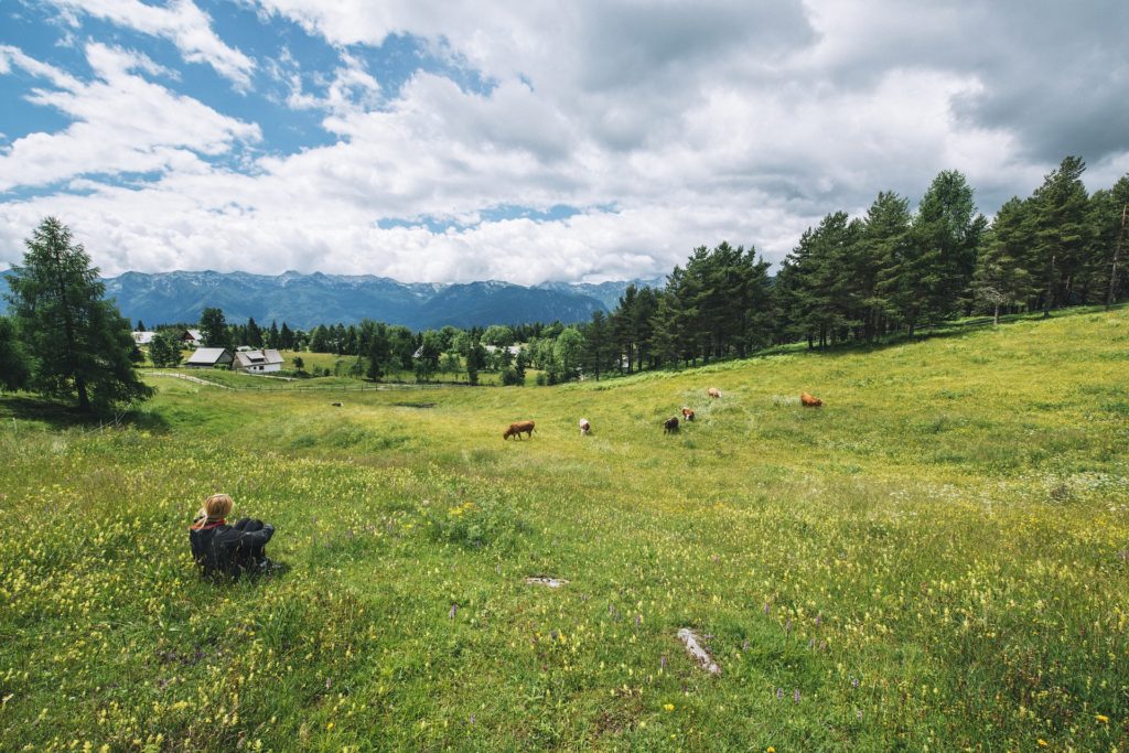 Woman sitting in grassy field, looking at green field, cows, trees, and mountains