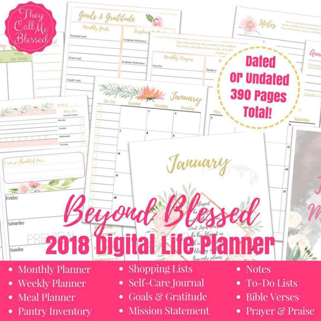 Beyond Blessed Life Planner