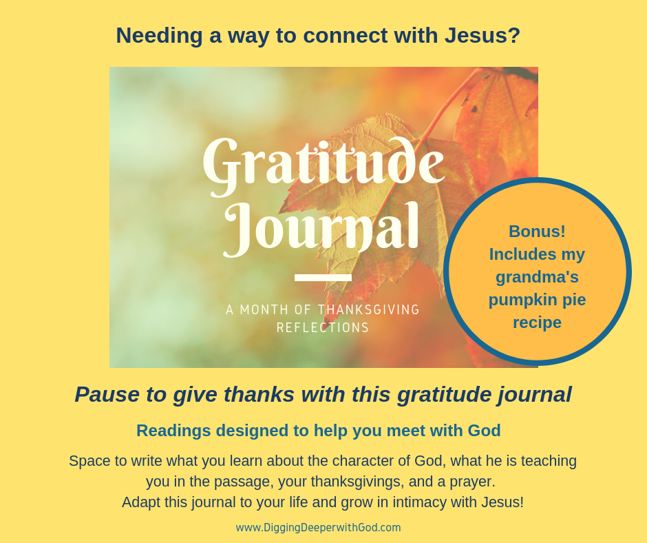 Gratitude Journal: A Month of Thanksgiving Reflections