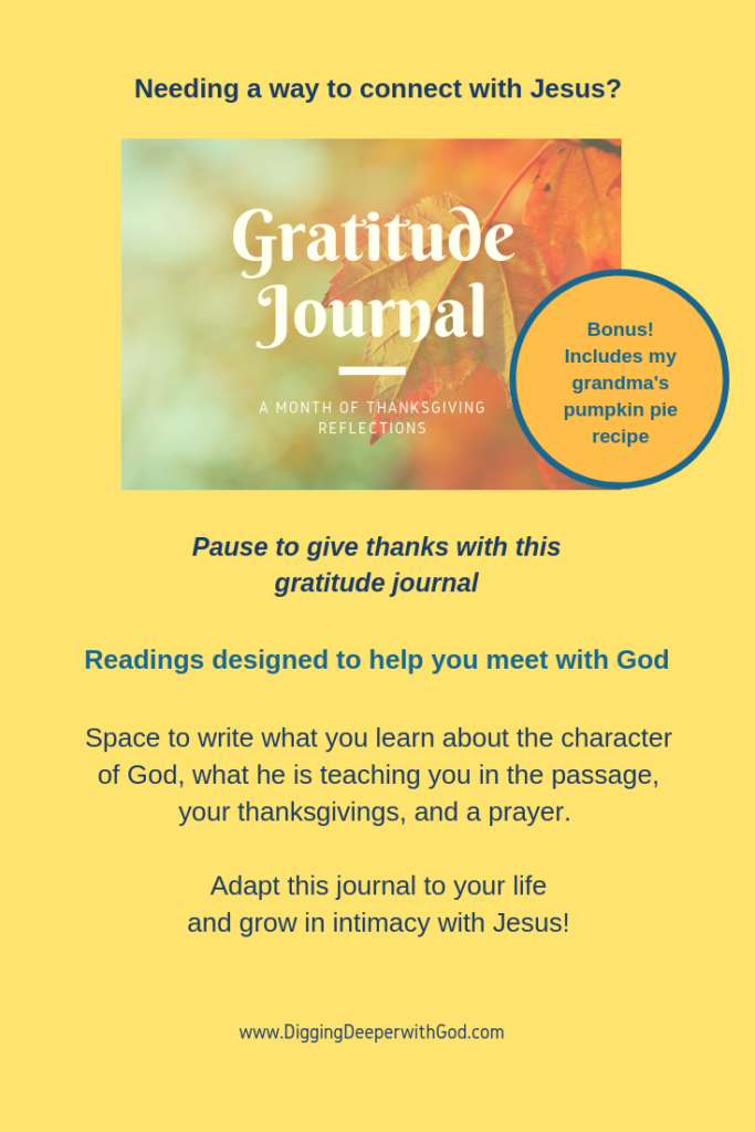 Gratitude Journal: A Month of Thanksgiving Reflections